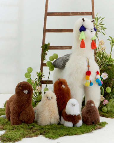 Baby Alpaca Plush Toys