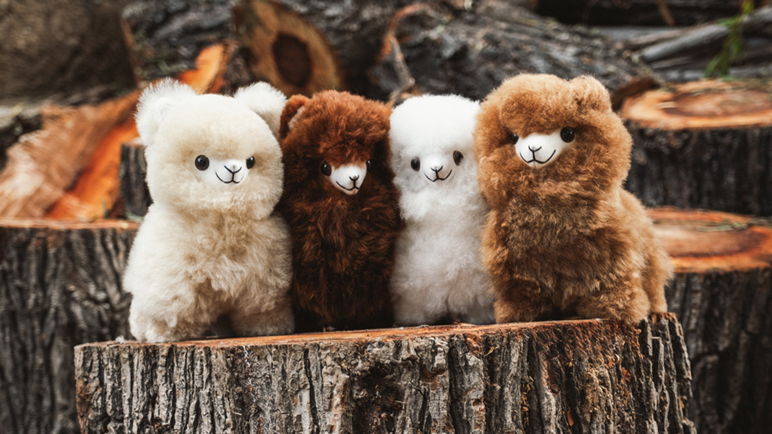 Text Natural Color Baby Alpaca Scalf 希少品 Text Natural 出 Color Baby Alpaca Scalf 希少品