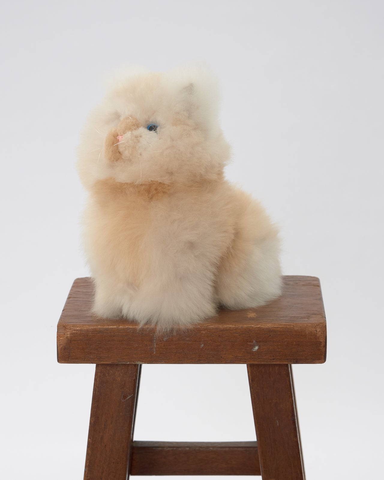 The Cat Baby Alpaca Plush Toy