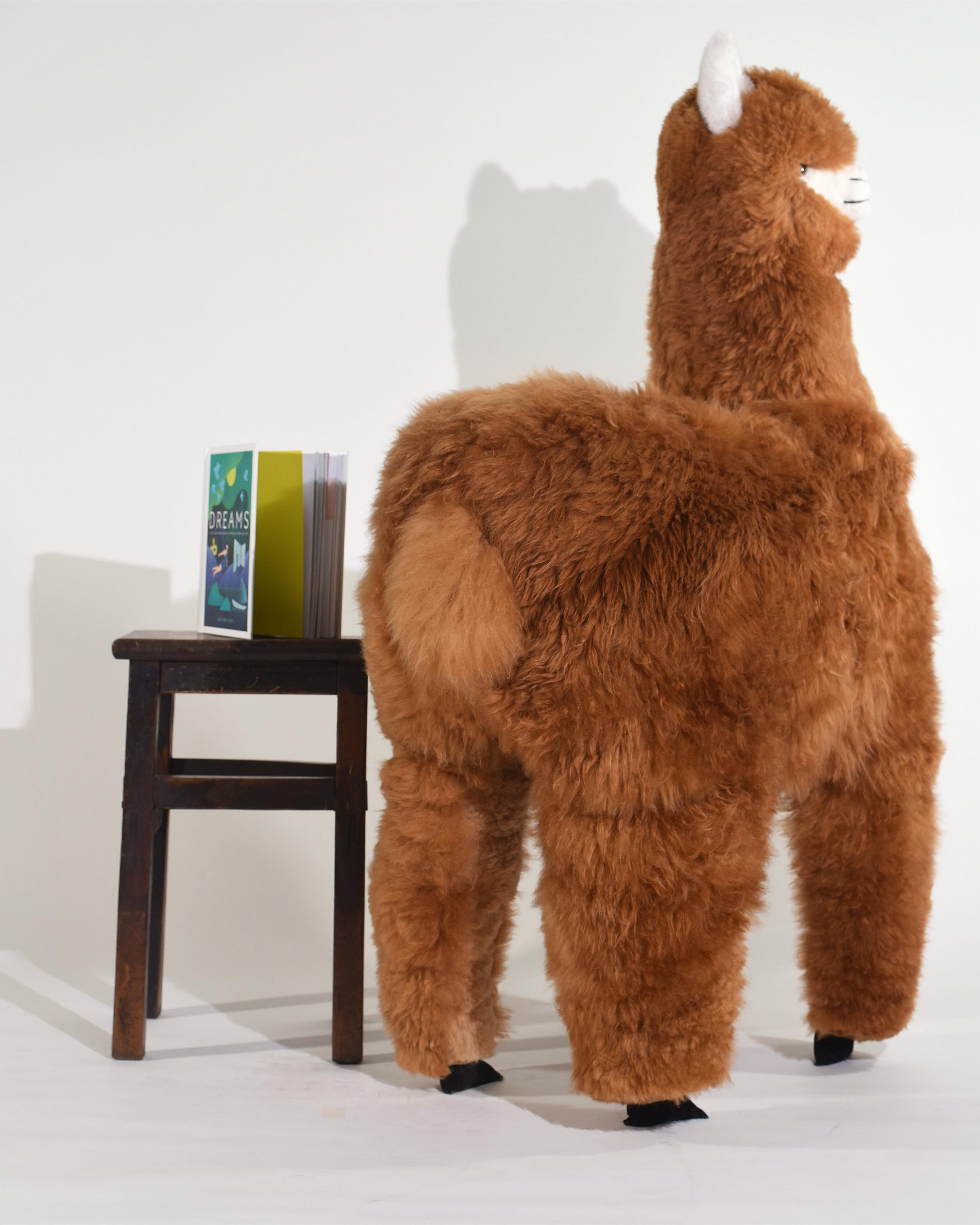 The 1.2 Metre Baby Alpaca Plush Toy