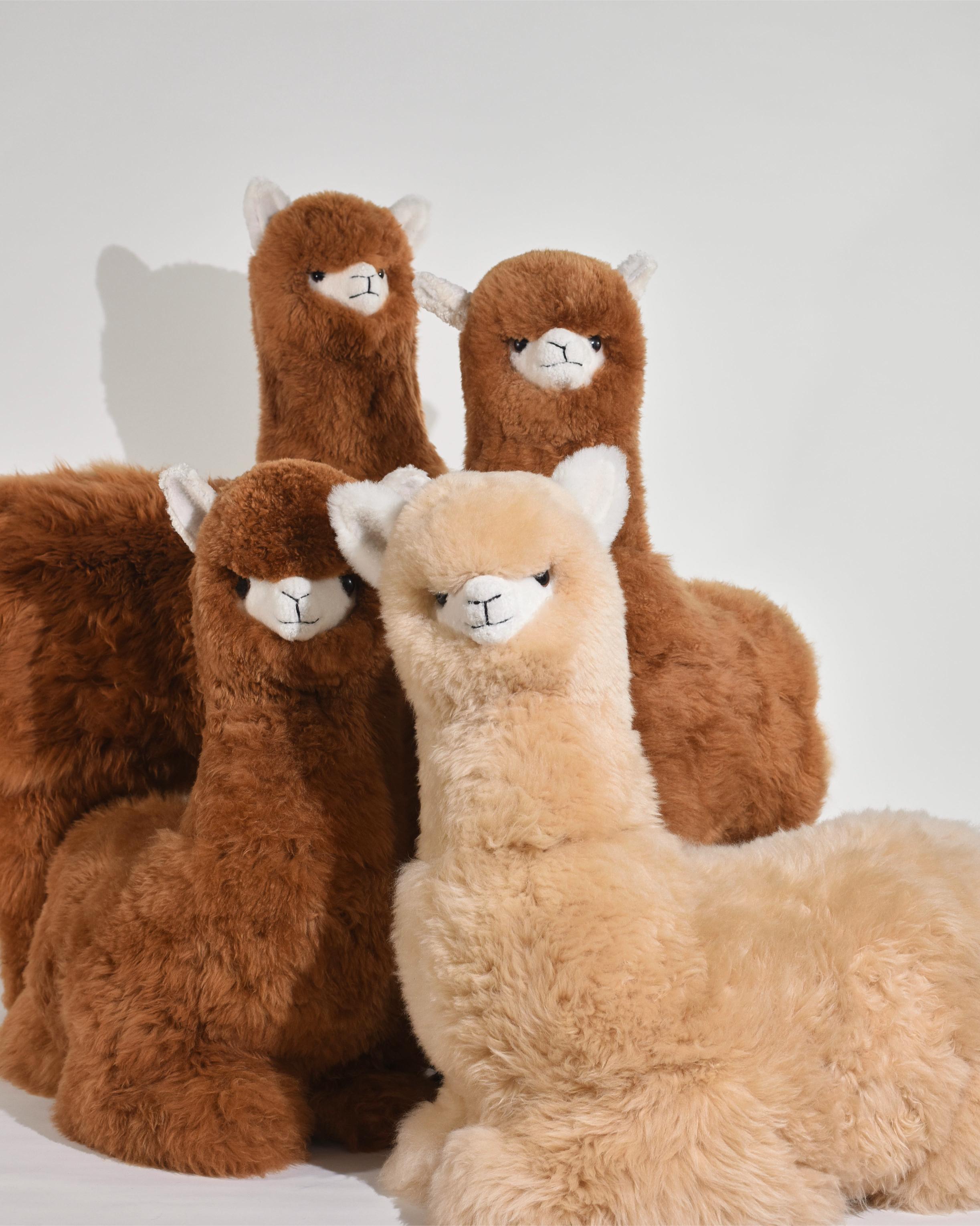 The 1.2 Metre Baby Alpaca Plush Toy
