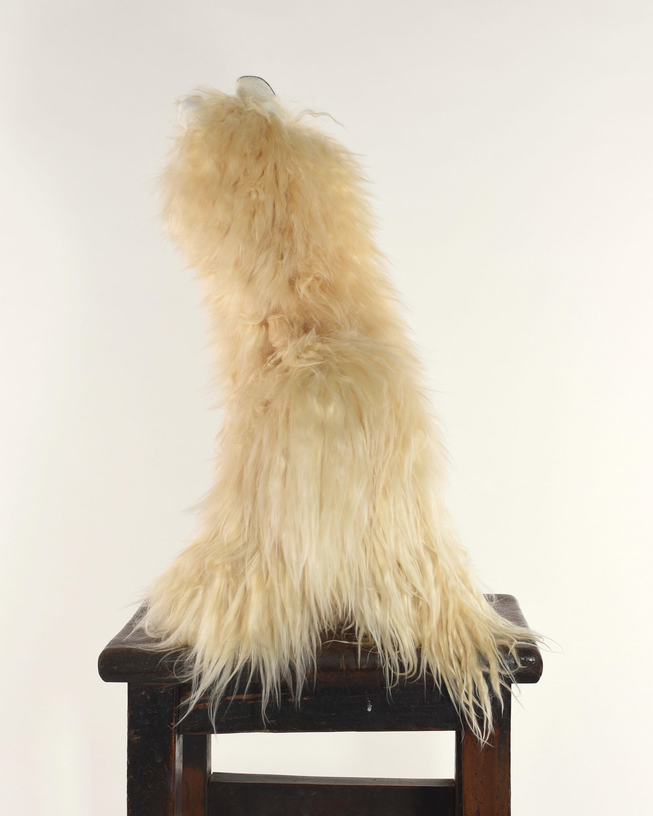 The 42cm Baby Suri Alpaca Plushie