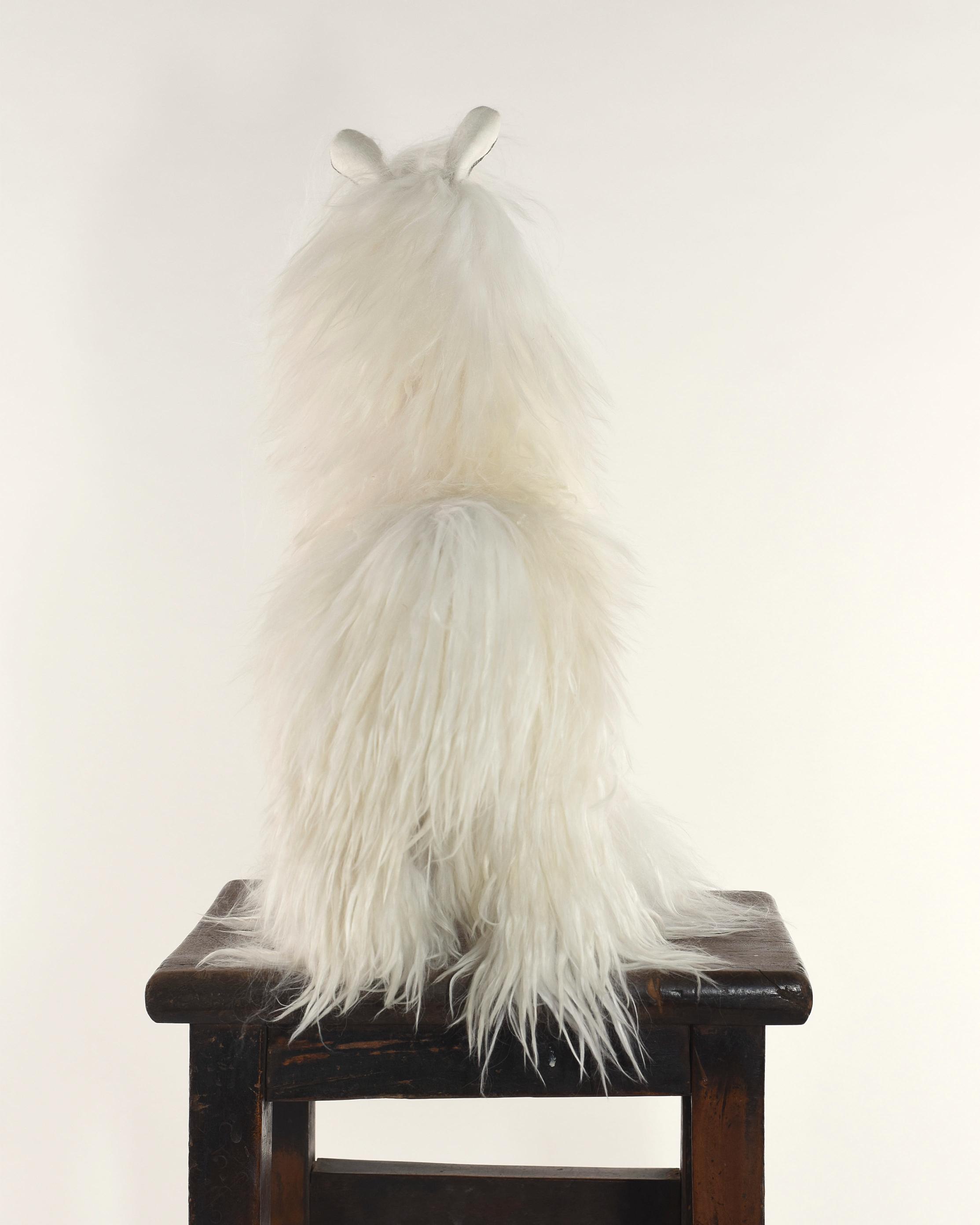 The 42cm Baby Suri Alpaca Plushie