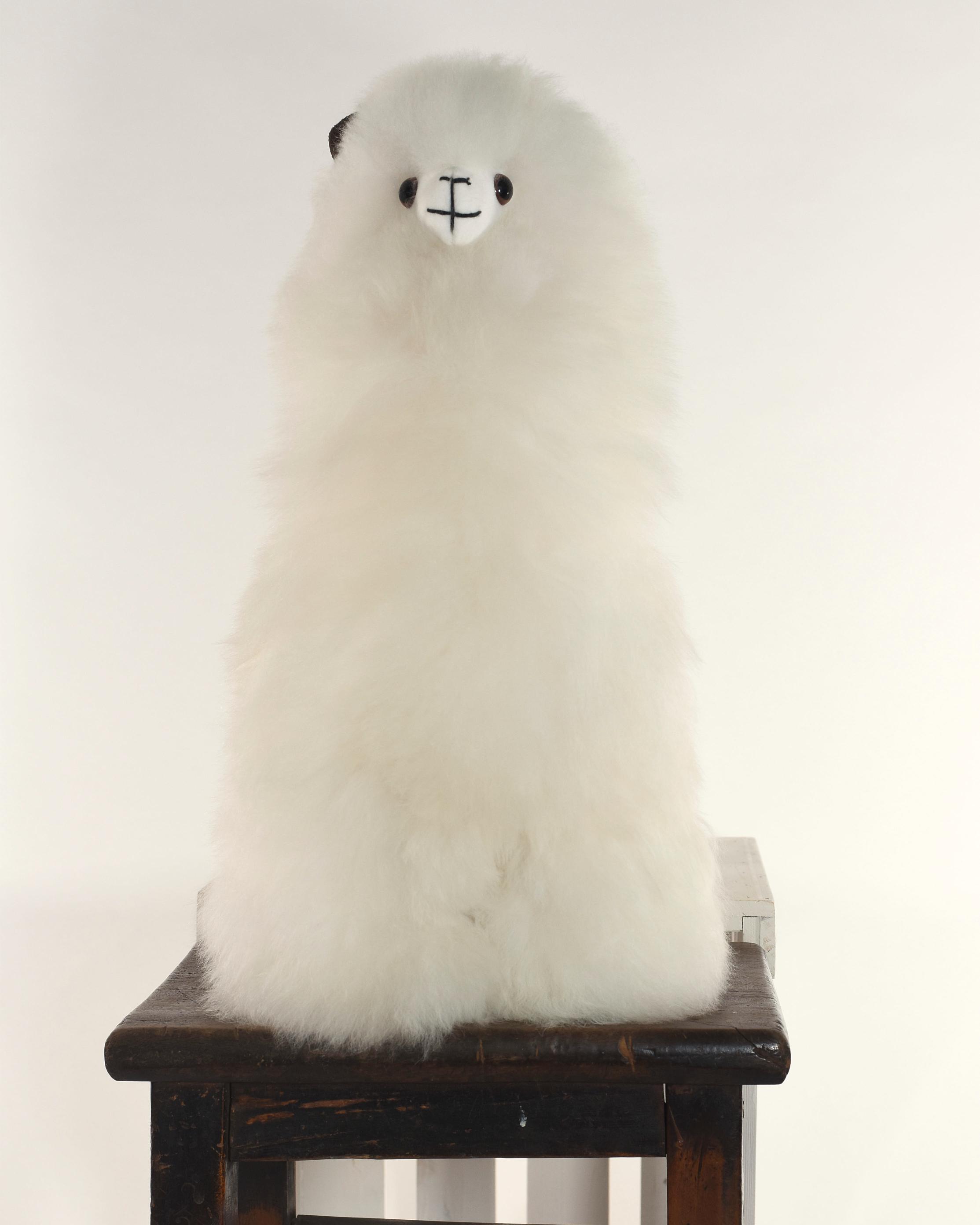 The Fat Ass 38cm Baby Alpaca Plush Toy