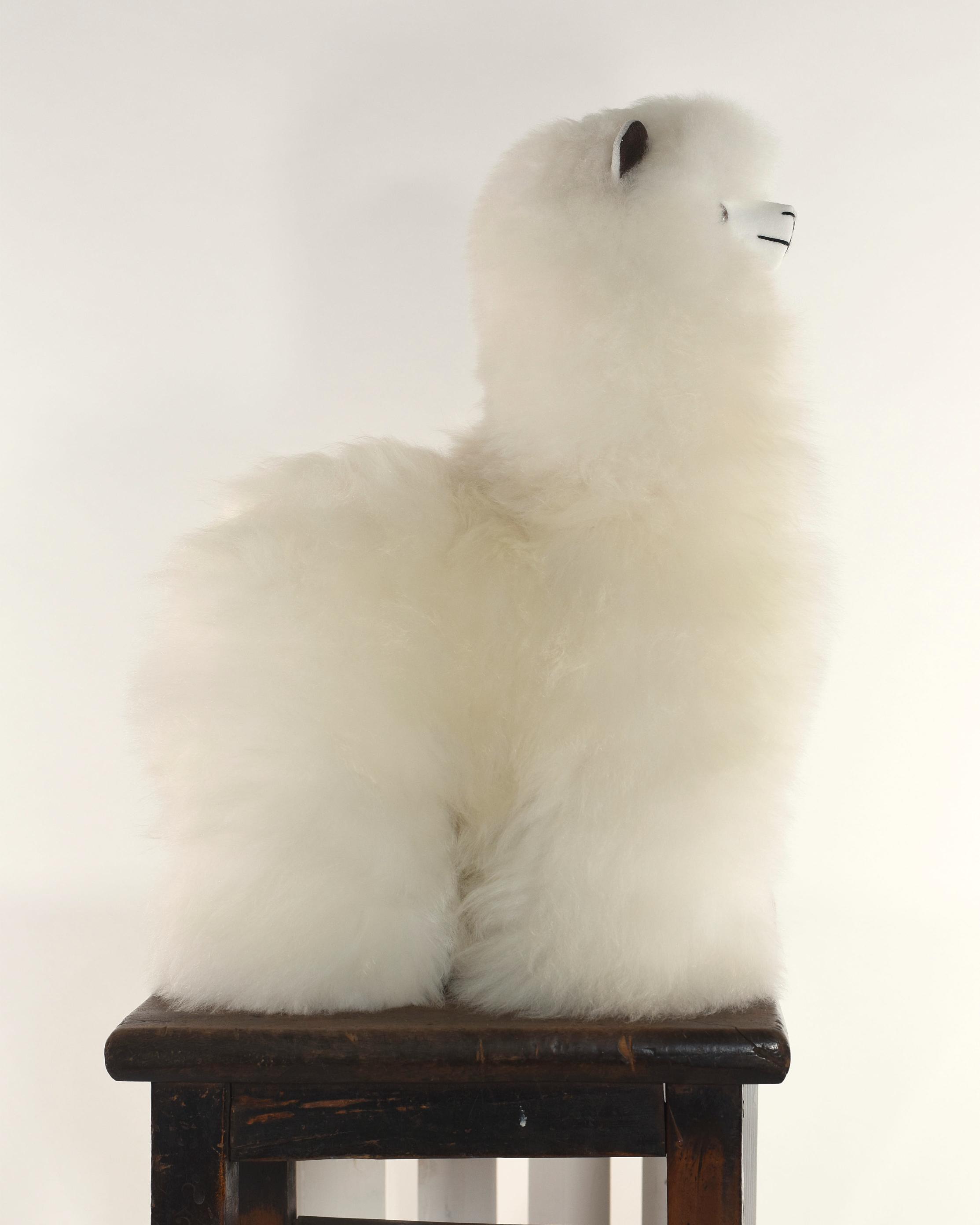 The Fat Ass 38cm Baby Alpaca Plush Toy