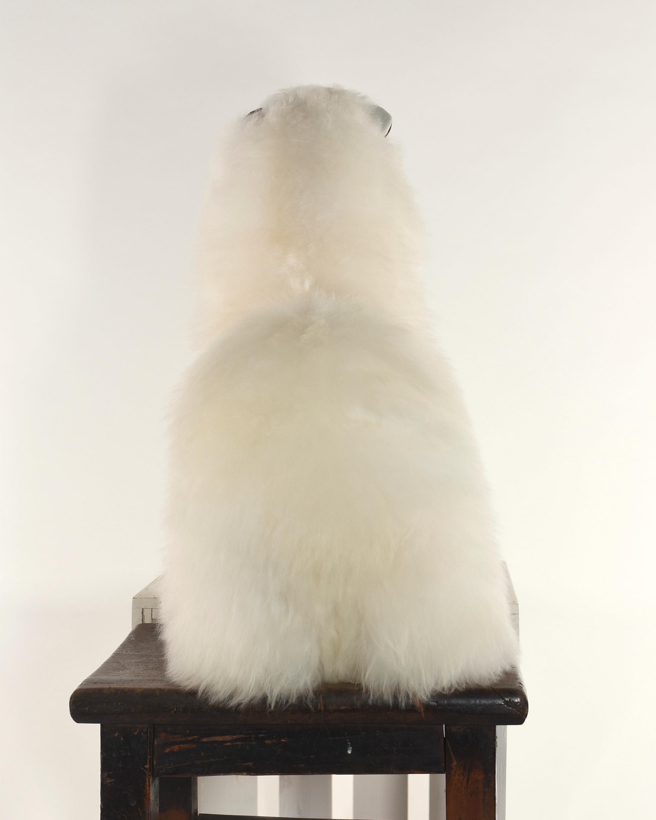 The Fat Ass 38cm Baby Alpaca Plush Toy