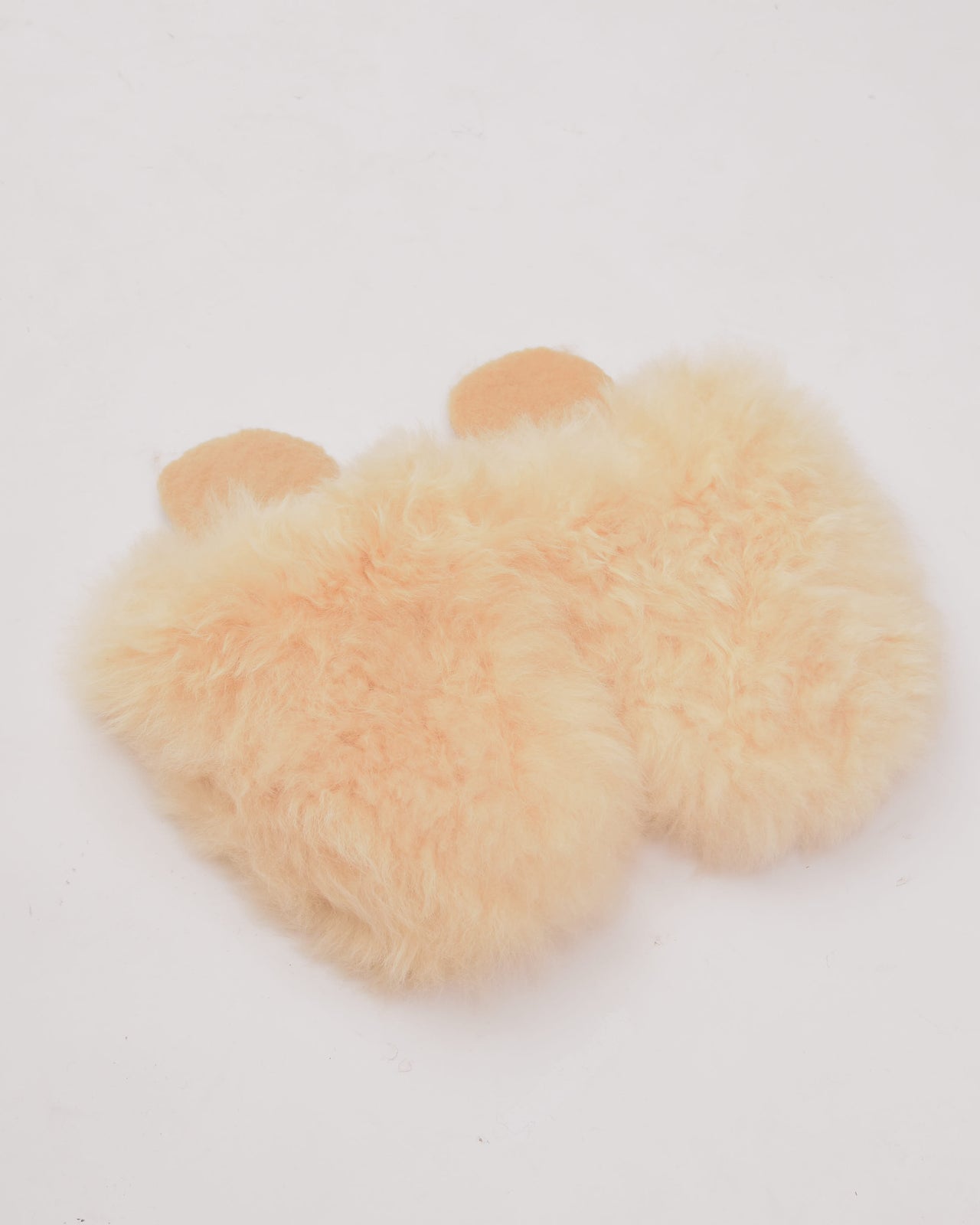 products/AYALPACA_Apr23227.jpg